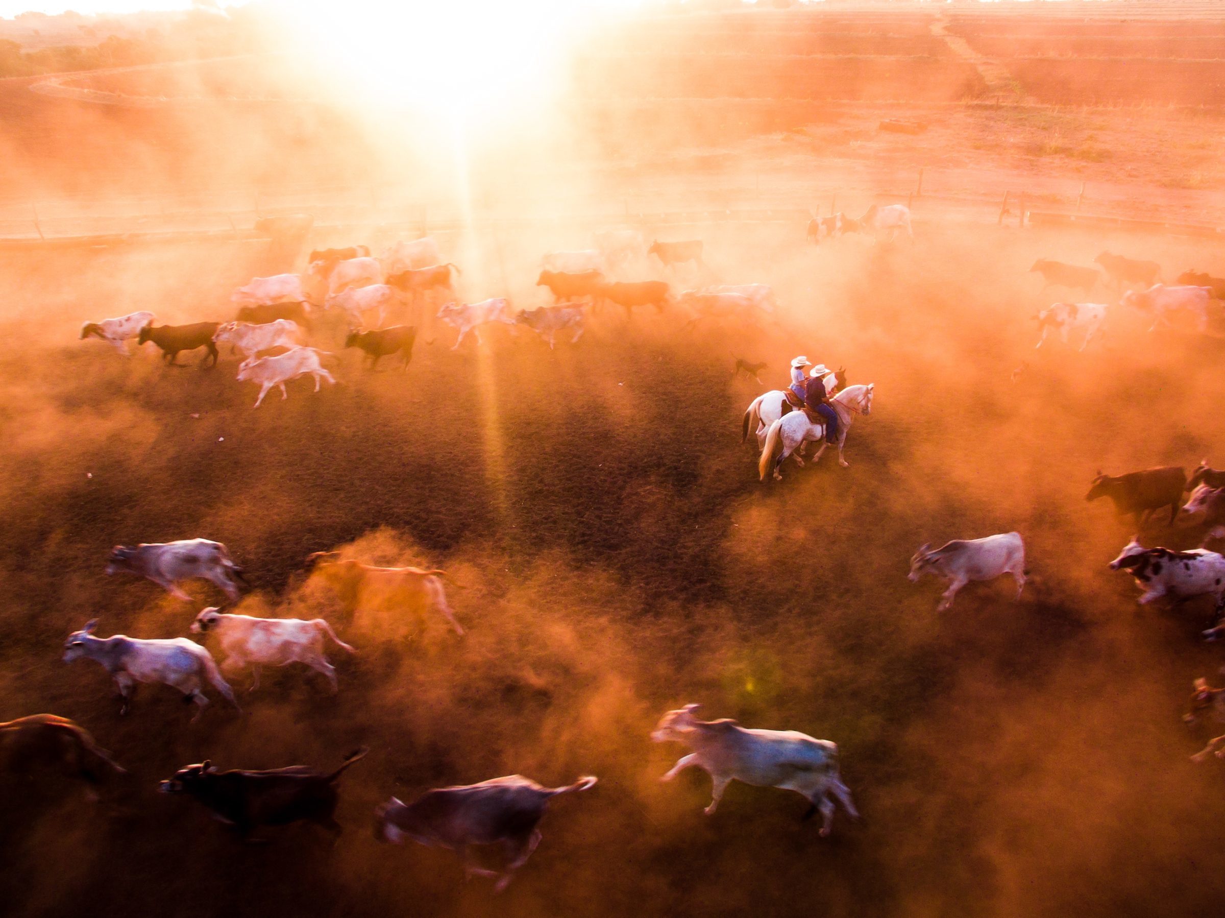 Foto de Anderson Passini 13