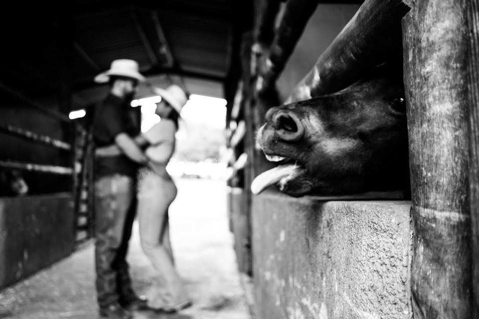 Ensaio Pre Wedding Country em São José do Rio Preto - SP l  Daniel e Greagata