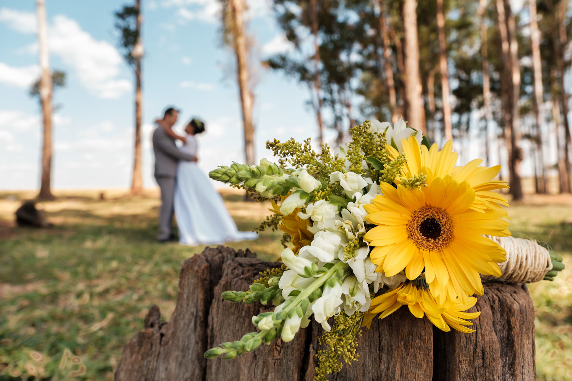 Foto Casamento em São José do Rio Preto Sp - Marcos e Jeyza Foto Casamento em São José do Rio Preto Sp - Marcos e Jeyza - Imagem 57