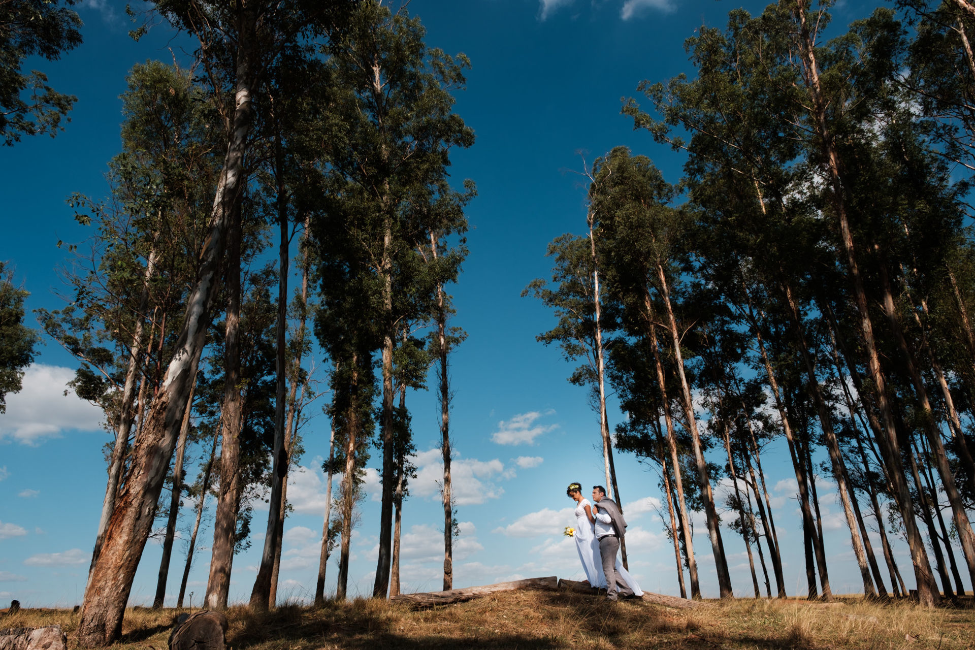 Foto Casamento em São José do Rio Preto Sp - Marcos e Jeyza Foto Casamento em São José do Rio Preto Sp - Marcos e Jeyza - Imagem 59