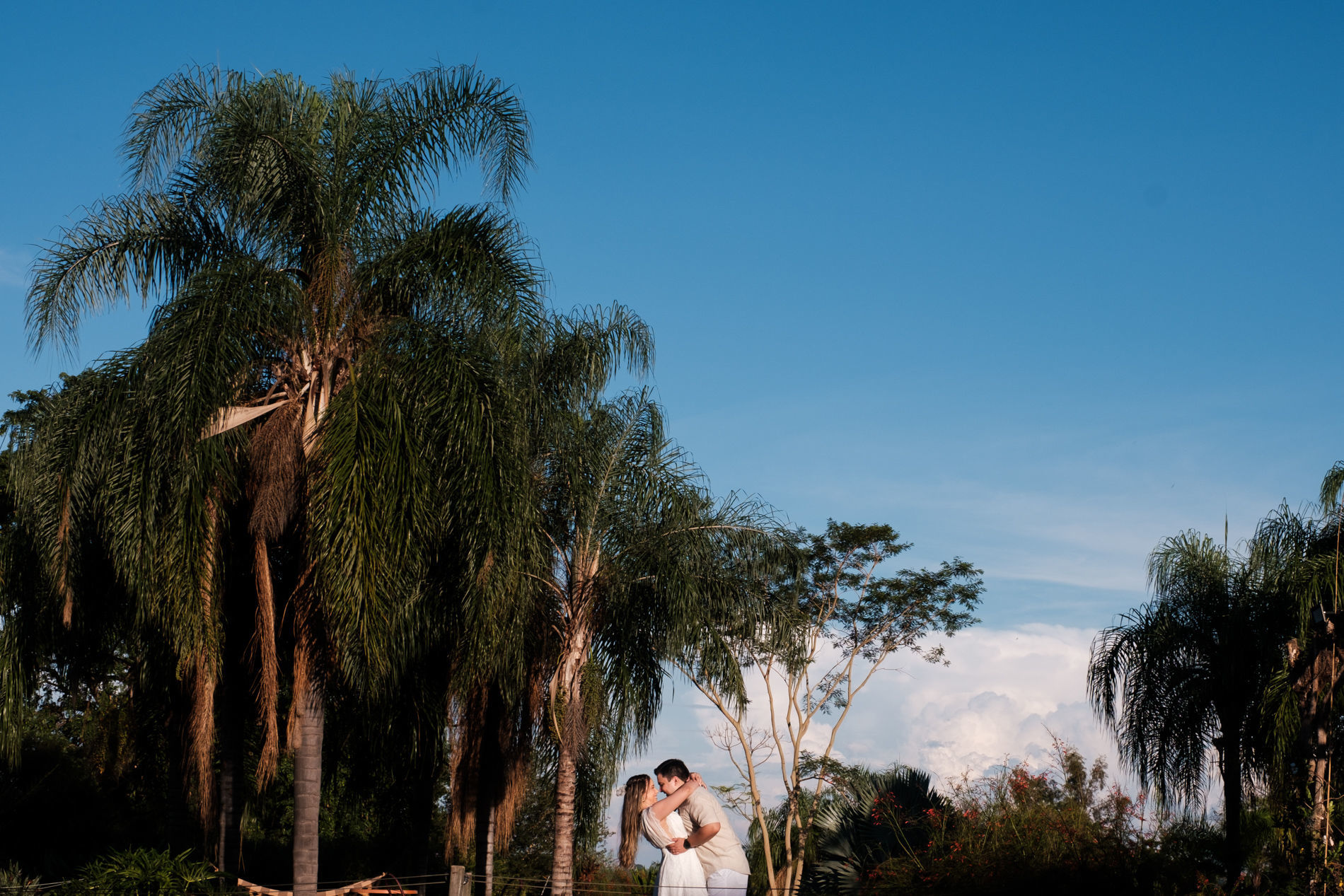 Foto Ensaio Pre Casamento Sítio Paineiras - Mendonça SP / Dienifer e Nilton Foto Ensaio Pre Casamento Sítio Paineiras - Mendonça SP / Dienifer e Nilton - Imagem 17