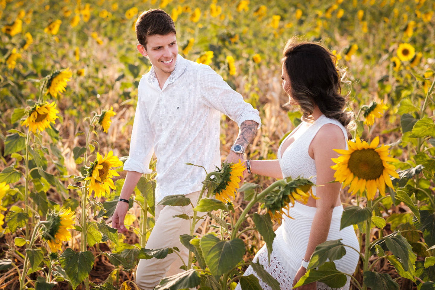 Ensaio Pre Casamento Campo de Girassóis em Potirendaba - SP Ensaio Pre Casamento Campo de Girassóis em Potirendaba - SP